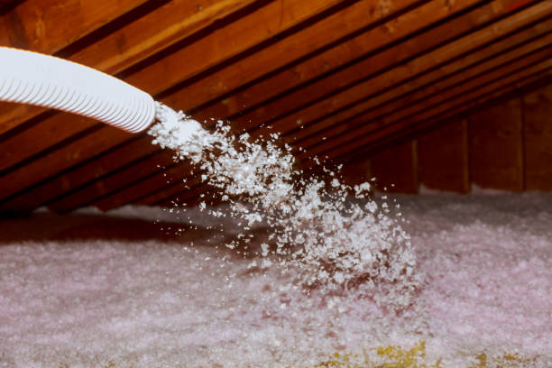 Types of Insulation We Offer in Dripping Springs, TX